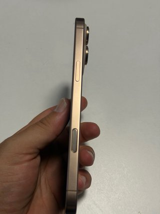 iPhone 16 Pro Max 256GB Gold