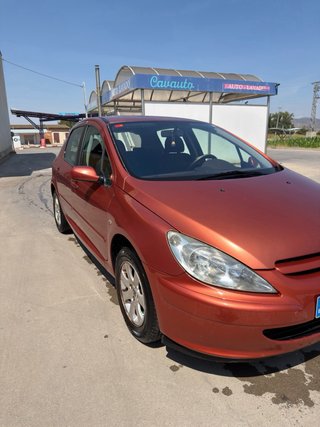 Peugeot 307 2002