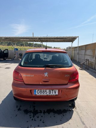 Peugeot 307 2002