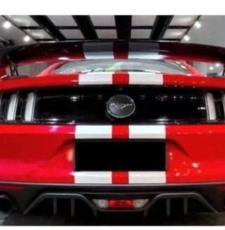 Alerón Ford Mustang Look GT500 Racing