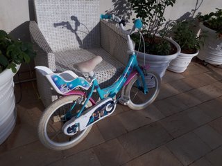 BICICLETTA RUOTE 16” BAMBINA – FROZEN - DENVER