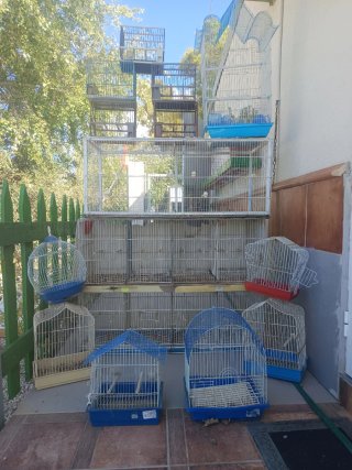 Jaulas para pájaros