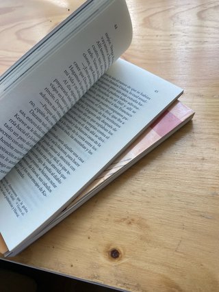 Lote de libro de Castalia, Prima, clásicos