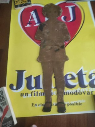 Almodóvar póster Julieta