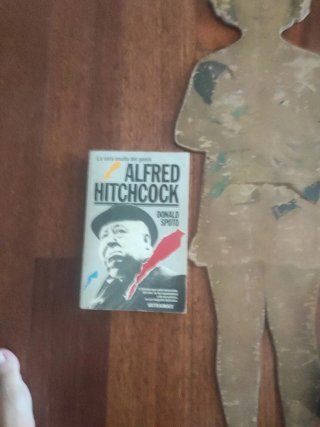 Almodóvar póster Julieta