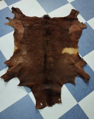 ALFOMBRA ANTIGUA DE PIEL DE CABRA  140CM