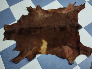 ALFOMBRA ANTIGUA DE PIEL DE CABRA  140CM
