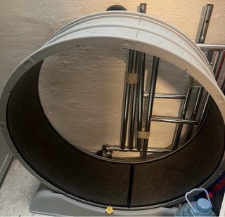 Rueda para gatos