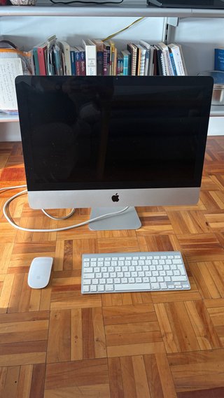 Ordenador iMac 2009 + Teclado y Ratón
