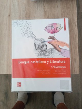Lengua castellana y literatura, 1 Bachillerato