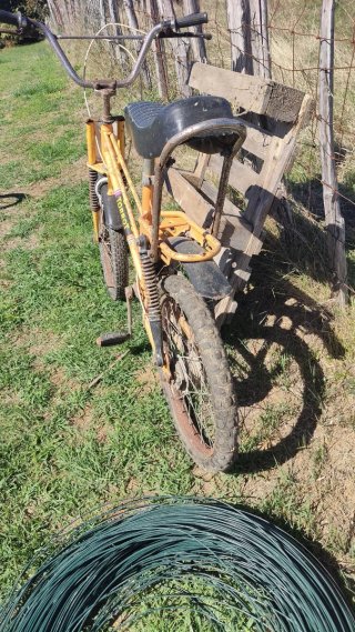 Bicicleta Torrot Antigua