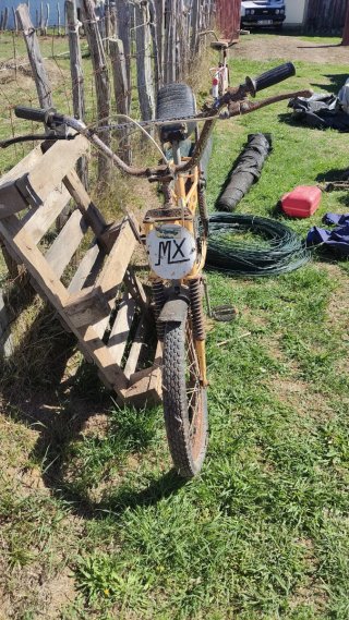 Bicicleta Torrot Antigua