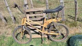 Bicicleta Torrot Antigua