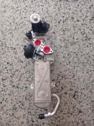 Válvula EGR Seat León