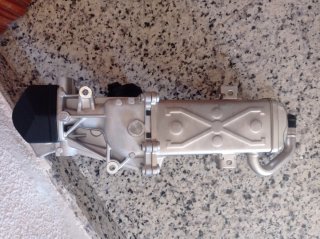 Válvula EGR Seat León