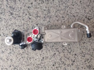 Válvula EGR Seat León