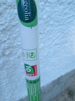 Escoba Geolia para hojas