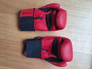 Saco y guantes de boxeo Domyos