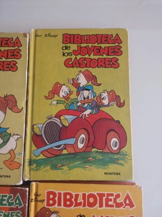 4 libros de los jóvenes castores