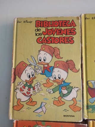 4 libros de los jóvenes castores
