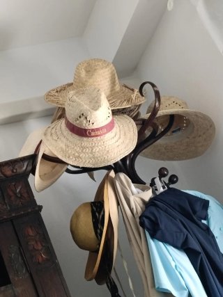Lote 8 Cappelli e Cappelli di Paglia