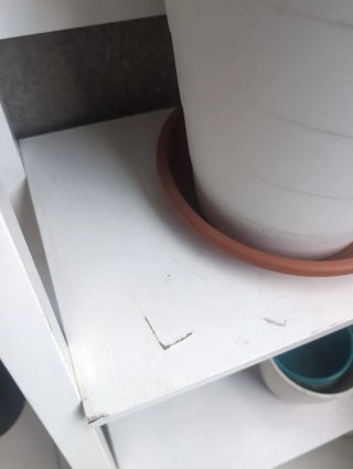 Estantería Blanca Escalera Ikea