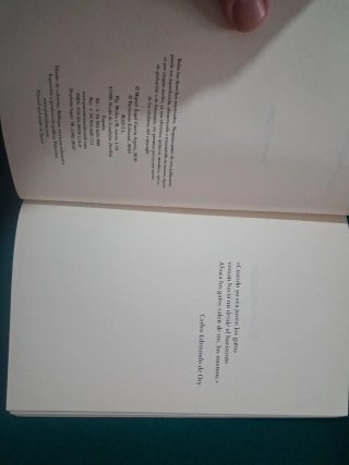 Carne de gato (Spanish Edition)