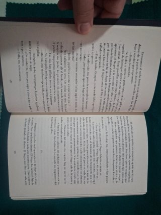 Carne de gato (Spanish Edition)