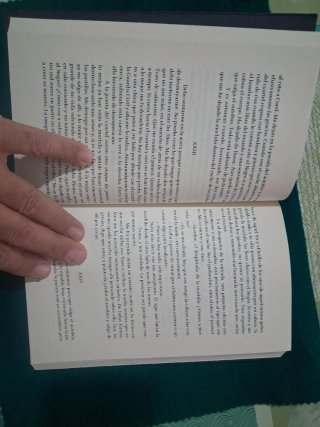 Carne de gato (Spanish Edition)