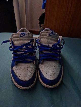 Nike Dunk Low Azul y Blanco