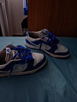 Nike Dunk Low Azul y Blanco