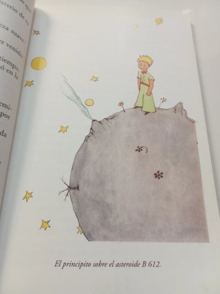 El Principito / The Little Prince