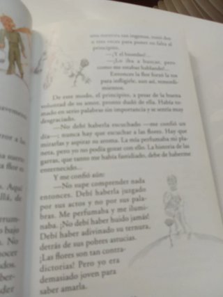 El Principito / The Little Prince