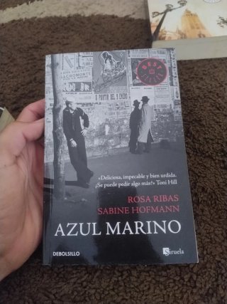 Lote novela negra española, 11 libros