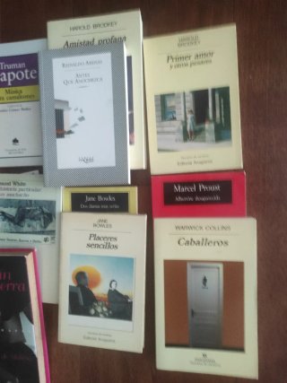 Gay literatura
