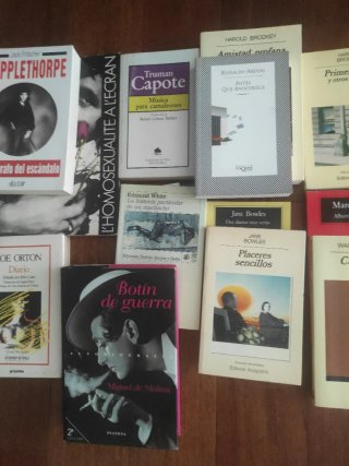Gay literatura