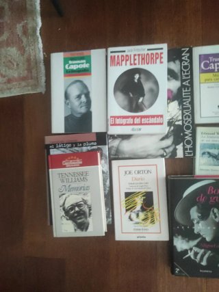 Gay literatura