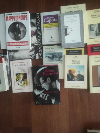 Gay literatura