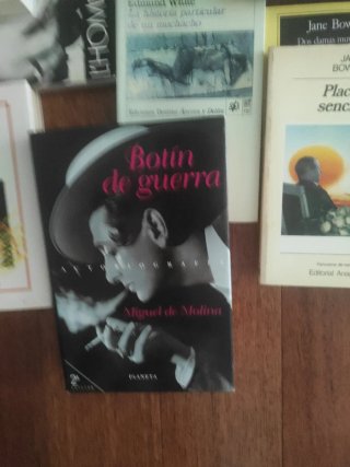 Gay literatura