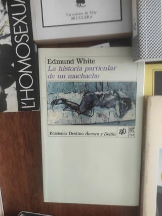 Gay literatura