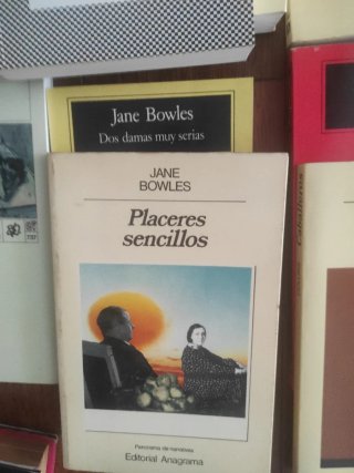 Gay literatura