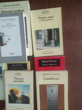 Gay literatura