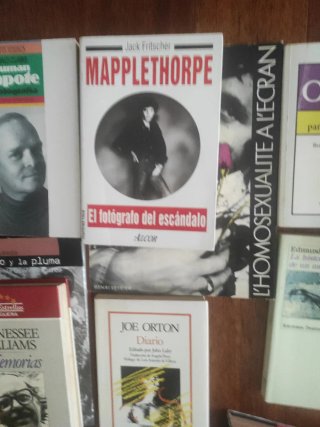 Gay literatura