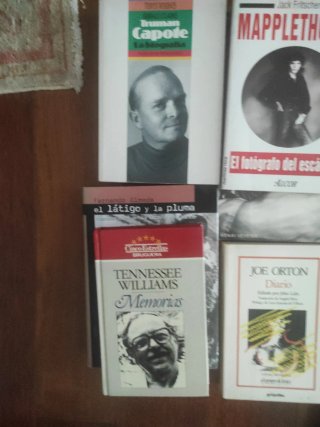 Gay literatura