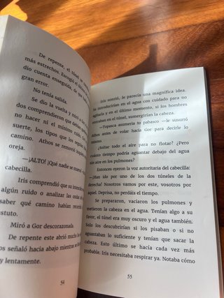 Un regalo singular - Ana Sáez del Arco