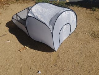 Parque de juegos para mascotas exterior