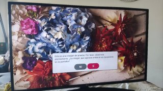 Smart TV LG 43 Negro