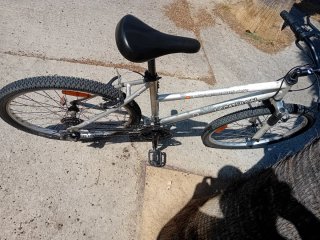 Bicicleta Decathlon plateada venta