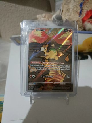 Carta Pokémon Numel 223/217