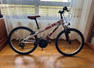 Bicicleta Orbea MX-24